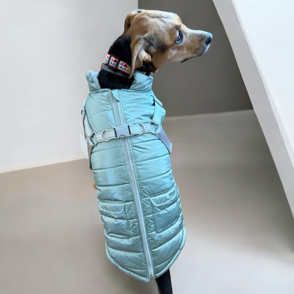 Martha Stewart Harness Puffer Jacket Size XL